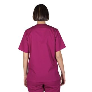 GS.6050 detras frambuesa