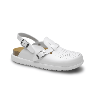 FZ.BIO-VEGA-PICADO-PRINCIPAL-1-min