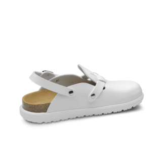 FZ.BIO-VEGA-PRINCIPAL__-min