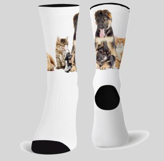 GS.1213_ C2883-Zoo-min