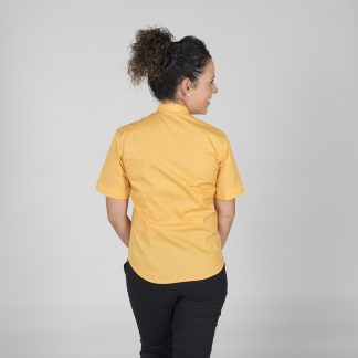 248300-750-XSS-1-min