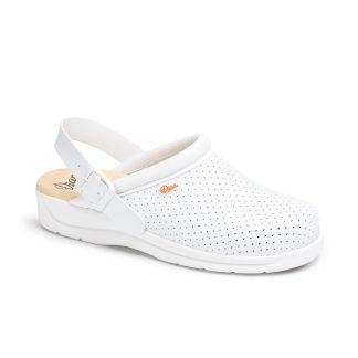 DN.PISA-CORREA-BLANCO-min