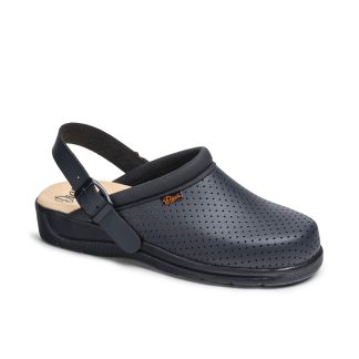 DN.PISA-CORREA-MARINO-min